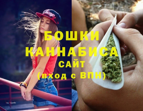 амф Арсеньев
