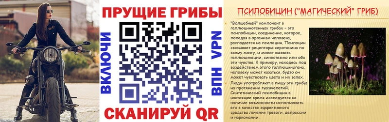 Галлюциногенные грибы прущие грибы  МЕГА вход  Бронницы 